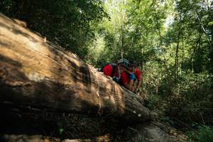 BIB: 
                            <button type="button" onclick="openModal(27960086)" class="btn btn-primary btn-sm float-right btn-popup" data-toggle="modal" data-target=".modal-high-quality">
                        <i class="fas fa-shopping-cart"></i> Add to Cart
                    </button>
                                            <button type="button" onclick="isThisMe(27960086, true)" class="btn btn-success btn-sm float-right btn-popup btn-isme hidden" data-toggle="tooltip" data-placement="bottom" title="นี่คือรูปของคุณใช่ไหม คลิกที่นี่เพื่อเอาเข้าอัลบั้ม">
                        <i class="fas fa-plus"></i> Add to album
                    </button>
                    <button type="button" onclick="isThisMe(27960086, false)" class="btn btn-warning btn-sm float-right btn-popup btn-isnotme hidden">
                        <i class="fas fa-ban"></i> Remove from album
                    </button>