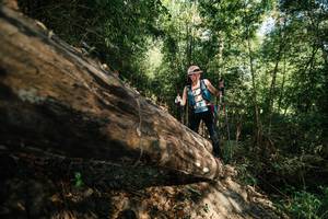 BIB: 
                            <button type="button" onclick="openModal(27962968)" class="btn btn-primary btn-sm float-right btn-popup" data-toggle="modal" data-target=".modal-high-quality">
                        <i class="fas fa-shopping-cart"></i> Add to Cart
                    </button>
                                            <button type="button" onclick="isThisMe(27962968, true)" class="btn btn-success btn-sm float-right btn-popup btn-isme hidden" data-toggle="tooltip" data-placement="bottom" title="นี่คือรูปของคุณใช่ไหม คลิกที่นี่เพื่อเอาเข้าอัลบั้ม">
                        <i class="fas fa-plus"></i> Add to album
                    </button>
                    <button type="button" onclick="isThisMe(27962968, false)" class="btn btn-warning btn-sm float-right btn-popup btn-isnotme hidden">
                        <i class="fas fa-ban"></i> Remove from album
                    </button>