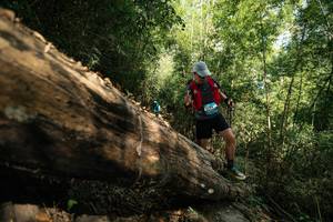 BIB: 
                            <button type="button" onclick="openModal(27959584)" class="btn btn-primary btn-sm float-right btn-popup" data-toggle="modal" data-target=".modal-high-quality">
                        <i class="fas fa-shopping-cart"></i> Add to Cart
                    </button>
                                            <button type="button" onclick="isThisMe(27959584, true)" class="btn btn-success btn-sm float-right btn-popup btn-isme hidden" data-toggle="tooltip" data-placement="bottom" title="นี่คือรูปของคุณใช่ไหม คลิกที่นี่เพื่อเอาเข้าอัลบั้ม">
                        <i class="fas fa-plus"></i> Add to album
                    </button>
                    <button type="button" onclick="isThisMe(27959584, false)" class="btn btn-warning btn-sm float-right btn-popup btn-isnotme hidden">
                        <i class="fas fa-ban"></i> Remove from album
                    </button>