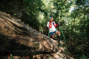 BIB: 
                            <button type="button" onclick="openModal(27962657)" class="btn btn-primary btn-sm float-right btn-popup" data-toggle="modal" data-target=".modal-high-quality">
                        <i class="fas fa-shopping-cart"></i> Add to Cart
                    </button>
                                            <button type="button" onclick="isThisMe(27962657, true)" class="btn btn-success btn-sm float-right btn-popup btn-isme hidden" data-toggle="tooltip" data-placement="bottom" title="นี่คือรูปของคุณใช่ไหม คลิกที่นี่เพื่อเอาเข้าอัลบั้ม">
                        <i class="fas fa-plus"></i> Add to album
                    </button>
                    <button type="button" onclick="isThisMe(27962657, false)" class="btn btn-warning btn-sm float-right btn-popup btn-isnotme hidden">
                        <i class="fas fa-ban"></i> Remove from album
                    </button>