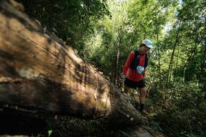 BIB: 
                            <button type="button" onclick="openModal(27960266)" class="btn btn-primary btn-sm float-right btn-popup" data-toggle="modal" data-target=".modal-high-quality">
                        <i class="fas fa-shopping-cart"></i> Add to Cart
                    </button>
                                            <button type="button" onclick="isThisMe(27960266, true)" class="btn btn-success btn-sm float-right btn-popup btn-isme hidden" data-toggle="tooltip" data-placement="bottom" title="นี่คือรูปของคุณใช่ไหม คลิกที่นี่เพื่อเอาเข้าอัลบั้ม">
                        <i class="fas fa-plus"></i> Add to album
                    </button>
                    <button type="button" onclick="isThisMe(27960266, false)" class="btn btn-warning btn-sm float-right btn-popup btn-isnotme hidden">
                        <i class="fas fa-ban"></i> Remove from album
                    </button>