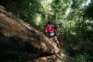 BIB: 
                            <button type="button" onclick="openModal(27963044)" class="btn btn-primary btn-sm float-right btn-popup" data-toggle="modal" data-target=".modal-high-quality">
                        <i class="fas fa-shopping-cart"></i> Add to Cart
                    </button>
                                            <button type="button" onclick="isThisMe(27963044, true)" class="btn btn-success btn-sm float-right btn-popup btn-isme hidden" data-toggle="tooltip" data-placement="bottom" title="นี่คือรูปของคุณใช่ไหม คลิกที่นี่เพื่อเอาเข้าอัลบั้ม">
                        <i class="fas fa-plus"></i> Add to album
                    </button>
                    <button type="button" onclick="isThisMe(27963044, false)" class="btn btn-warning btn-sm float-right btn-popup btn-isnotme hidden">
                        <i class="fas fa-ban"></i> Remove from album
                    </button>