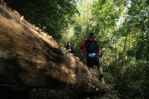 BIB: 
                            <button type="button" onclick="openModal(27959621)" class="btn btn-primary btn-sm float-right btn-popup" data-toggle="modal" data-target=".modal-high-quality">
                        <i class="fas fa-shopping-cart"></i> Add to Cart
                    </button>
                                            <button type="button" onclick="isThisMe(27959621, true)" class="btn btn-success btn-sm float-right btn-popup btn-isme hidden" data-toggle="tooltip" data-placement="bottom" title="นี่คือรูปของคุณใช่ไหม คลิกที่นี่เพื่อเอาเข้าอัลบั้ม">
                        <i class="fas fa-plus"></i> Add to album
                    </button>
                    <button type="button" onclick="isThisMe(27959621, false)" class="btn btn-warning btn-sm float-right btn-popup btn-isnotme hidden">
                        <i class="fas fa-ban"></i> Remove from album
                    </button>