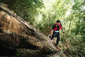 BIB: 
                            <button type="button" onclick="openModal(27964306)" class="btn btn-primary btn-sm float-right btn-popup" data-toggle="modal" data-target=".modal-high-quality">
                        <i class="fas fa-shopping-cart"></i> Add to Cart
                    </button>
                                            <button type="button" onclick="isThisMe(27964306, true)" class="btn btn-success btn-sm float-right btn-popup btn-isme hidden" data-toggle="tooltip" data-placement="bottom" title="นี่คือรูปของคุณใช่ไหม คลิกที่นี่เพื่อเอาเข้าอัลบั้ม">
                        <i class="fas fa-plus"></i> Add to album
                    </button>
                    <button type="button" onclick="isThisMe(27964306, false)" class="btn btn-warning btn-sm float-right btn-popup btn-isnotme hidden">
                        <i class="fas fa-ban"></i> Remove from album
                    </button>