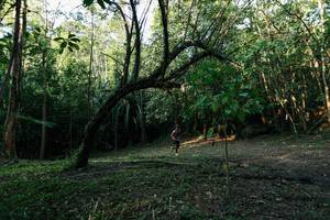 BIB: 
                            <button type="button" onclick="openModal(27968546)" class="btn btn-primary btn-sm float-right btn-popup" data-toggle="modal" data-target=".modal-high-quality">
                        <i class="fas fa-shopping-cart"></i> Add to Cart
                    </button>
                                            <button type="button" onclick="isThisMe(27968546, true)" class="btn btn-success btn-sm float-right btn-popup btn-isme hidden" data-toggle="tooltip" data-placement="bottom" title="นี่คือรูปของคุณใช่ไหม คลิกที่นี่เพื่อเอาเข้าอัลบั้ม">
                        <i class="fas fa-plus"></i> Add to album
                    </button>
                    <button type="button" onclick="isThisMe(27968546, false)" class="btn btn-warning btn-sm float-right btn-popup btn-isnotme hidden">
                        <i class="fas fa-ban"></i> Remove from album
                    </button>