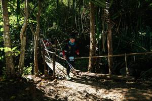 BIB: 
                            <button type="button" onclick="openModal(27966673)" class="btn btn-primary btn-sm float-right btn-popup" data-toggle="modal" data-target=".modal-high-quality">
                        <i class="fas fa-shopping-cart"></i> Add to Cart
                    </button>
                                            <button type="button" onclick="isThisMe(27966673, true)" class="btn btn-success btn-sm float-right btn-popup btn-isme hidden" data-toggle="tooltip" data-placement="bottom" title="นี่คือรูปของคุณใช่ไหม คลิกที่นี่เพื่อเอาเข้าอัลบั้ม">
                        <i class="fas fa-plus"></i> Add to album
                    </button>
                    <button type="button" onclick="isThisMe(27966673, false)" class="btn btn-warning btn-sm float-right btn-popup btn-isnotme hidden">
                        <i class="fas fa-ban"></i> Remove from album
                    </button>