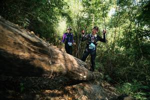 BIB: 
                            <button type="button" onclick="openModal(27959117)" class="btn btn-primary btn-sm float-right btn-popup" data-toggle="modal" data-target=".modal-high-quality">
                        <i class="fas fa-shopping-cart"></i> Add to Cart
                    </button>
                                            <button type="button" onclick="isThisMe(27959117, true)" class="btn btn-success btn-sm float-right btn-popup btn-isme hidden" data-toggle="tooltip" data-placement="bottom" title="นี่คือรูปของคุณใช่ไหม คลิกที่นี่เพื่อเอาเข้าอัลบั้ม">
                        <i class="fas fa-plus"></i> Add to album
                    </button>
                    <button type="button" onclick="isThisMe(27959117, false)" class="btn btn-warning btn-sm float-right btn-popup btn-isnotme hidden">
                        <i class="fas fa-ban"></i> Remove from album
                    </button>