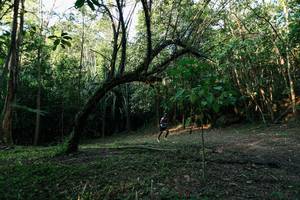 BIB: 
                            <button type="button" onclick="openModal(27968549)" class="btn btn-primary btn-sm float-right btn-popup" data-toggle="modal" data-target=".modal-high-quality">
                        <i class="fas fa-shopping-cart"></i> Add to Cart
                    </button>
                                            <button type="button" onclick="isThisMe(27968549, true)" class="btn btn-success btn-sm float-right btn-popup btn-isme hidden" data-toggle="tooltip" data-placement="bottom" title="นี่คือรูปของคุณใช่ไหม คลิกที่นี่เพื่อเอาเข้าอัลบั้ม">
                        <i class="fas fa-plus"></i> Add to album
                    </button>
                    <button type="button" onclick="isThisMe(27968549, false)" class="btn btn-warning btn-sm float-right btn-popup btn-isnotme hidden">
                        <i class="fas fa-ban"></i> Remove from album
                    </button>