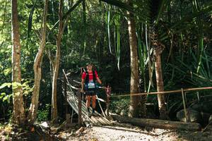 BIB: 
                            <button type="button" onclick="openModal(27968016)" class="btn btn-primary btn-sm float-right btn-popup" data-toggle="modal" data-target=".modal-high-quality">
                        <i class="fas fa-shopping-cart"></i> Add to Cart
                    </button>
                                            <button type="button" onclick="isThisMe(27968016, true)" class="btn btn-success btn-sm float-right btn-popup btn-isme hidden" data-toggle="tooltip" data-placement="bottom" title="นี่คือรูปของคุณใช่ไหม คลิกที่นี่เพื่อเอาเข้าอัลบั้ม">
                        <i class="fas fa-plus"></i> Add to album
                    </button>
                    <button type="button" onclick="isThisMe(27968016, false)" class="btn btn-warning btn-sm float-right btn-popup btn-isnotme hidden">
                        <i class="fas fa-ban"></i> Remove from album
                    </button>