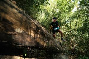 BIB: 
                            <button type="button" onclick="openModal(27960496)" class="btn btn-primary btn-sm float-right btn-popup" data-toggle="modal" data-target=".modal-high-quality">
                        <i class="fas fa-shopping-cart"></i> Add to Cart
                    </button>
                                            <button type="button" onclick="isThisMe(27960496, true)" class="btn btn-success btn-sm float-right btn-popup btn-isme hidden" data-toggle="tooltip" data-placement="bottom" title="นี่คือรูปของคุณใช่ไหม คลิกที่นี่เพื่อเอาเข้าอัลบั้ม">
                        <i class="fas fa-plus"></i> Add to album
                    </button>
                    <button type="button" onclick="isThisMe(27960496, false)" class="btn btn-warning btn-sm float-right btn-popup btn-isnotme hidden">
                        <i class="fas fa-ban"></i> Remove from album
                    </button>