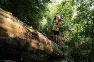 BIB: 
                            <button type="button" onclick="openModal(27959876)" class="btn btn-primary btn-sm float-right btn-popup" data-toggle="modal" data-target=".modal-high-quality">
                        <i class="fas fa-shopping-cart"></i> Add to Cart
                    </button>
                                            <button type="button" onclick="isThisMe(27959876, true)" class="btn btn-success btn-sm float-right btn-popup btn-isme hidden" data-toggle="tooltip" data-placement="bottom" title="นี่คือรูปของคุณใช่ไหม คลิกที่นี่เพื่อเอาเข้าอัลบั้ม">
                        <i class="fas fa-plus"></i> Add to album
                    </button>
                    <button type="button" onclick="isThisMe(27959876, false)" class="btn btn-warning btn-sm float-right btn-popup btn-isnotme hidden">
                        <i class="fas fa-ban"></i> Remove from album
                    </button>