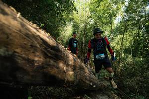 BIB: 
                            <button type="button" onclick="openModal(27959603)" class="btn btn-primary btn-sm float-right btn-popup" data-toggle="modal" data-target=".modal-high-quality">
                        <i class="fas fa-shopping-cart"></i> Add to Cart
                    </button>
                                            <button type="button" onclick="isThisMe(27959603, true)" class="btn btn-success btn-sm float-right btn-popup btn-isme hidden" data-toggle="tooltip" data-placement="bottom" title="นี่คือรูปของคุณใช่ไหม คลิกที่นี่เพื่อเอาเข้าอัลบั้ม">
                        <i class="fas fa-plus"></i> Add to album
                    </button>
                    <button type="button" onclick="isThisMe(27959603, false)" class="btn btn-warning btn-sm float-right btn-popup btn-isnotme hidden">
                        <i class="fas fa-ban"></i> Remove from album
                    </button>