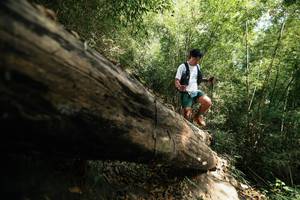 BIB: 
                            <button type="button" onclick="openModal(27960940)" class="btn btn-primary btn-sm float-right btn-popup" data-toggle="modal" data-target=".modal-high-quality">
                        <i class="fas fa-shopping-cart"></i> Add to Cart
                    </button>
                                            <button type="button" onclick="isThisMe(27960940, true)" class="btn btn-success btn-sm float-right btn-popup btn-isme hidden" data-toggle="tooltip" data-placement="bottom" title="นี่คือรูปของคุณใช่ไหม คลิกที่นี่เพื่อเอาเข้าอัลบั้ม">
                        <i class="fas fa-plus"></i> Add to album
                    </button>
                    <button type="button" onclick="isThisMe(27960940, false)" class="btn btn-warning btn-sm float-right btn-popup btn-isnotme hidden">
                        <i class="fas fa-ban"></i> Remove from album
                    </button>