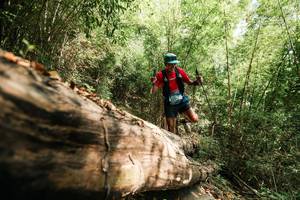 BIB: 
                            <button type="button" onclick="openModal(27961299)" class="btn btn-primary btn-sm float-right btn-popup" data-toggle="modal" data-target=".modal-high-quality">
                        <i class="fas fa-shopping-cart"></i> Add to Cart
                    </button>
                                            <button type="button" onclick="isThisMe(27961299, true)" class="btn btn-success btn-sm float-right btn-popup btn-isme hidden" data-toggle="tooltip" data-placement="bottom" title="นี่คือรูปของคุณใช่ไหม คลิกที่นี่เพื่อเอาเข้าอัลบั้ม">
                        <i class="fas fa-plus"></i> Add to album
                    </button>
                    <button type="button" onclick="isThisMe(27961299, false)" class="btn btn-warning btn-sm float-right btn-popup btn-isnotme hidden">
                        <i class="fas fa-ban"></i> Remove from album
                    </button>