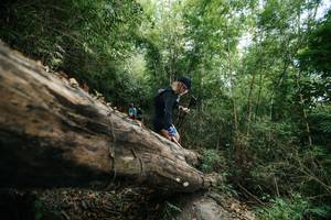 BIB: 
                            <button type="button" onclick="openModal(27964271)" class="btn btn-primary btn-sm float-right btn-popup" data-toggle="modal" data-target=".modal-high-quality">
                        <i class="fas fa-shopping-cart"></i> Add to Cart
                    </button>
                                            <button type="button" onclick="isThisMe(27964271, true)" class="btn btn-success btn-sm float-right btn-popup btn-isme hidden" data-toggle="tooltip" data-placement="bottom" title="นี่คือรูปของคุณใช่ไหม คลิกที่นี่เพื่อเอาเข้าอัลบั้ม">
                        <i class="fas fa-plus"></i> Add to album
                    </button>
                    <button type="button" onclick="isThisMe(27964271, false)" class="btn btn-warning btn-sm float-right btn-popup btn-isnotme hidden">
                        <i class="fas fa-ban"></i> Remove from album
                    </button>