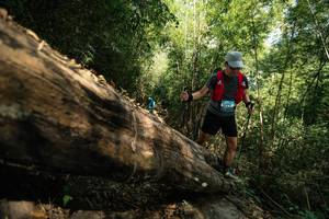 BIB: 
                            <button type="button" onclick="openModal(27959563)" class="btn btn-primary btn-sm float-right btn-popup" data-toggle="modal" data-target=".modal-high-quality">
                        <i class="fas fa-shopping-cart"></i> Add to Cart
                    </button>
                                            <button type="button" onclick="isThisMe(27959563, true)" class="btn btn-success btn-sm float-right btn-popup btn-isme hidden" data-toggle="tooltip" data-placement="bottom" title="นี่คือรูปของคุณใช่ไหม คลิกที่นี่เพื่อเอาเข้าอัลบั้ม">
                        <i class="fas fa-plus"></i> Add to album
                    </button>
                    <button type="button" onclick="isThisMe(27959563, false)" class="btn btn-warning btn-sm float-right btn-popup btn-isnotme hidden">
                        <i class="fas fa-ban"></i> Remove from album
                    </button>