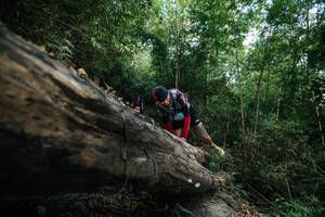 BIB: 
                            <button type="button" onclick="openModal(27963926)" class="btn btn-primary btn-sm float-right btn-popup" data-toggle="modal" data-target=".modal-high-quality">
                        <i class="fas fa-shopping-cart"></i> Add to Cart
                    </button>
                                            <button type="button" onclick="isThisMe(27963926, true)" class="btn btn-success btn-sm float-right btn-popup btn-isme hidden" data-toggle="tooltip" data-placement="bottom" title="นี่คือรูปของคุณใช่ไหม คลิกที่นี่เพื่อเอาเข้าอัลบั้ม">
                        <i class="fas fa-plus"></i> Add to album
                    </button>
                    <button type="button" onclick="isThisMe(27963926, false)" class="btn btn-warning btn-sm float-right btn-popup btn-isnotme hidden">
                        <i class="fas fa-ban"></i> Remove from album
                    </button>