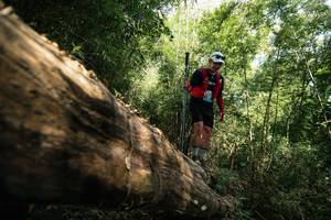 BIB: 
                            <button type="button" onclick="openModal(27959667)" class="btn btn-primary btn-sm float-right btn-popup" data-toggle="modal" data-target=".modal-high-quality">
                        <i class="fas fa-shopping-cart"></i> Add to Cart
                    </button>
                                            <button type="button" onclick="isThisMe(27959667, true)" class="btn btn-success btn-sm float-right btn-popup btn-isme hidden" data-toggle="tooltip" data-placement="bottom" title="นี่คือรูปของคุณใช่ไหม คลิกที่นี่เพื่อเอาเข้าอัลบั้ม">
                        <i class="fas fa-plus"></i> Add to album
                    </button>
                    <button type="button" onclick="isThisMe(27959667, false)" class="btn btn-warning btn-sm float-right btn-popup btn-isnotme hidden">
                        <i class="fas fa-ban"></i> Remove from album
                    </button>