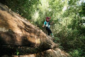 BIB: 
                            <button type="button" onclick="openModal(27964078)" class="btn btn-primary btn-sm float-right btn-popup" data-toggle="modal" data-target=".modal-high-quality">
                        <i class="fas fa-shopping-cart"></i> Add to Cart
                    </button>
                                            <button type="button" onclick="isThisMe(27964078, true)" class="btn btn-success btn-sm float-right btn-popup btn-isme hidden" data-toggle="tooltip" data-placement="bottom" title="นี่คือรูปของคุณใช่ไหม คลิกที่นี่เพื่อเอาเข้าอัลบั้ม">
                        <i class="fas fa-plus"></i> Add to album
                    </button>
                    <button type="button" onclick="isThisMe(27964078, false)" class="btn btn-warning btn-sm float-right btn-popup btn-isnotme hidden">
                        <i class="fas fa-ban"></i> Remove from album
                    </button>