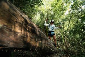 BIB: 
                            <button type="button" onclick="openModal(27960503)" class="btn btn-primary btn-sm float-right btn-popup" data-toggle="modal" data-target=".modal-high-quality">
                        <i class="fas fa-shopping-cart"></i> Add to Cart
                    </button>
                                            <button type="button" onclick="isThisMe(27960503, true)" class="btn btn-success btn-sm float-right btn-popup btn-isme hidden" data-toggle="tooltip" data-placement="bottom" title="นี่คือรูปของคุณใช่ไหม คลิกที่นี่เพื่อเอาเข้าอัลบั้ม">
                        <i class="fas fa-plus"></i> Add to album
                    </button>
                    <button type="button" onclick="isThisMe(27960503, false)" class="btn btn-warning btn-sm float-right btn-popup btn-isnotme hidden">
                        <i class="fas fa-ban"></i> Remove from album
                    </button>