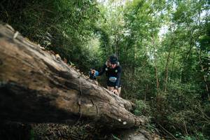 BIB: 
                            <button type="button" onclick="openModal(27964275)" class="btn btn-primary btn-sm float-right btn-popup" data-toggle="modal" data-target=".modal-high-quality">
                        <i class="fas fa-shopping-cart"></i> Add to Cart
                    </button>
                                            <button type="button" onclick="isThisMe(27964275, true)" class="btn btn-success btn-sm float-right btn-popup btn-isme hidden" data-toggle="tooltip" data-placement="bottom" title="นี่คือรูปของคุณใช่ไหม คลิกที่นี่เพื่อเอาเข้าอัลบั้ม">
                        <i class="fas fa-plus"></i> Add to album
                    </button>
                    <button type="button" onclick="isThisMe(27964275, false)" class="btn btn-warning btn-sm float-right btn-popup btn-isnotme hidden">
                        <i class="fas fa-ban"></i> Remove from album
                    </button>