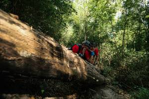 BIB: 
                            <button type="button" onclick="openModal(27960072)" class="btn btn-primary btn-sm float-right btn-popup" data-toggle="modal" data-target=".modal-high-quality">
                        <i class="fas fa-shopping-cart"></i> Add to Cart
                    </button>
                                            <button type="button" onclick="isThisMe(27960072, true)" class="btn btn-success btn-sm float-right btn-popup btn-isme hidden" data-toggle="tooltip" data-placement="bottom" title="นี่คือรูปของคุณใช่ไหม คลิกที่นี่เพื่อเอาเข้าอัลบั้ม">
                        <i class="fas fa-plus"></i> Add to album
                    </button>
                    <button type="button" onclick="isThisMe(27960072, false)" class="btn btn-warning btn-sm float-right btn-popup btn-isnotme hidden">
                        <i class="fas fa-ban"></i> Remove from album
                    </button>