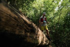 BIB: 
                            <button type="button" onclick="openModal(27965614)" class="btn btn-primary btn-sm float-right btn-popup" data-toggle="modal" data-target=".modal-high-quality">
                        <i class="fas fa-shopping-cart"></i> Add to Cart
                    </button>
                                            <button type="button" onclick="isThisMe(27965614, true)" class="btn btn-success btn-sm float-right btn-popup btn-isme hidden" data-toggle="tooltip" data-placement="bottom" title="นี่คือรูปของคุณใช่ไหม คลิกที่นี่เพื่อเอาเข้าอัลบั้ม">
                        <i class="fas fa-plus"></i> Add to album
                    </button>
                    <button type="button" onclick="isThisMe(27965614, false)" class="btn btn-warning btn-sm float-right btn-popup btn-isnotme hidden">
                        <i class="fas fa-ban"></i> Remove from album
                    </button>