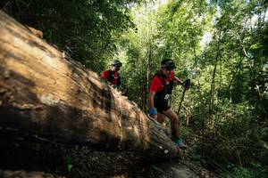 BIB: 
                            <button type="button" onclick="openModal(27960036)" class="btn btn-primary btn-sm float-right btn-popup" data-toggle="modal" data-target=".modal-high-quality">
                        <i class="fas fa-shopping-cart"></i> Add to Cart
                    </button>
                                            <button type="button" onclick="isThisMe(27960036, true)" class="btn btn-success btn-sm float-right btn-popup btn-isme hidden" data-toggle="tooltip" data-placement="bottom" title="นี่คือรูปของคุณใช่ไหม คลิกที่นี่เพื่อเอาเข้าอัลบั้ม">
                        <i class="fas fa-plus"></i> Add to album
                    </button>
                    <button type="button" onclick="isThisMe(27960036, false)" class="btn btn-warning btn-sm float-right btn-popup btn-isnotme hidden">
                        <i class="fas fa-ban"></i> Remove from album
                    </button>