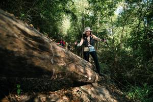 BIB: 
                            <button type="button" onclick="openModal(27963281)" class="btn btn-primary btn-sm float-right btn-popup" data-toggle="modal" data-target=".modal-high-quality">
                        <i class="fas fa-shopping-cart"></i> Add to Cart
                    </button>
                                            <button type="button" onclick="isThisMe(27963281, true)" class="btn btn-success btn-sm float-right btn-popup btn-isme hidden" data-toggle="tooltip" data-placement="bottom" title="นี่คือรูปของคุณใช่ไหม คลิกที่นี่เพื่อเอาเข้าอัลบั้ม">
                        <i class="fas fa-plus"></i> Add to album
                    </button>
                    <button type="button" onclick="isThisMe(27963281, false)" class="btn btn-warning btn-sm float-right btn-popup btn-isnotme hidden">
                        <i class="fas fa-ban"></i> Remove from album
                    </button>