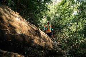 BIB: 
                            <button type="button" onclick="openModal(27959888)" class="btn btn-primary btn-sm float-right btn-popup" data-toggle="modal" data-target=".modal-high-quality">
                        <i class="fas fa-shopping-cart"></i> Add to Cart
                    </button>
                                            <button type="button" onclick="isThisMe(27959888, true)" class="btn btn-success btn-sm float-right btn-popup btn-isme hidden" data-toggle="tooltip" data-placement="bottom" title="นี่คือรูปของคุณใช่ไหม คลิกที่นี่เพื่อเอาเข้าอัลบั้ม">
                        <i class="fas fa-plus"></i> Add to album
                    </button>
                    <button type="button" onclick="isThisMe(27959888, false)" class="btn btn-warning btn-sm float-right btn-popup btn-isnotme hidden">
                        <i class="fas fa-ban"></i> Remove from album
                    </button>