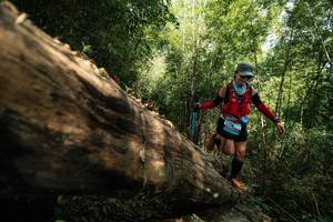 BIB: 
                            <button type="button" onclick="openModal(27959668)" class="btn btn-primary btn-sm float-right btn-popup" data-toggle="modal" data-target=".modal-high-quality">
                        <i class="fas fa-shopping-cart"></i> Add to Cart
                    </button>
                                            <button type="button" onclick="isThisMe(27959668, true)" class="btn btn-success btn-sm float-right btn-popup btn-isme hidden" data-toggle="tooltip" data-placement="bottom" title="นี่คือรูปของคุณใช่ไหม คลิกที่นี่เพื่อเอาเข้าอัลบั้ม">
                        <i class="fas fa-plus"></i> Add to album
                    </button>
                    <button type="button" onclick="isThisMe(27959668, false)" class="btn btn-warning btn-sm float-right btn-popup btn-isnotme hidden">
                        <i class="fas fa-ban"></i> Remove from album
                    </button>