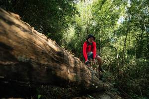 BIB: 
                            <button type="button" onclick="openModal(27959706)" class="btn btn-primary btn-sm float-right btn-popup" data-toggle="modal" data-target=".modal-high-quality">
                        <i class="fas fa-shopping-cart"></i> Add to Cart
                    </button>
                                            <button type="button" onclick="isThisMe(27959706, true)" class="btn btn-success btn-sm float-right btn-popup btn-isme hidden" data-toggle="tooltip" data-placement="bottom" title="นี่คือรูปของคุณใช่ไหม คลิกที่นี่เพื่อเอาเข้าอัลบั้ม">
                        <i class="fas fa-plus"></i> Add to album
                    </button>
                    <button type="button" onclick="isThisMe(27959706, false)" class="btn btn-warning btn-sm float-right btn-popup btn-isnotme hidden">
                        <i class="fas fa-ban"></i> Remove from album
                    </button>