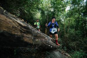 BIB: 
                            <button type="button" onclick="openModal(27963746)" class="btn btn-primary btn-sm float-right btn-popup" data-toggle="modal" data-target=".modal-high-quality">
                        <i class="fas fa-shopping-cart"></i> Add to Cart
                    </button>
                                            <button type="button" onclick="isThisMe(27963746, true)" class="btn btn-success btn-sm float-right btn-popup btn-isme hidden" data-toggle="tooltip" data-placement="bottom" title="นี่คือรูปของคุณใช่ไหม คลิกที่นี่เพื่อเอาเข้าอัลบั้ม">
                        <i class="fas fa-plus"></i> Add to album
                    </button>
                    <button type="button" onclick="isThisMe(27963746, false)" class="btn btn-warning btn-sm float-right btn-popup btn-isnotme hidden">
                        <i class="fas fa-ban"></i> Remove from album
                    </button>