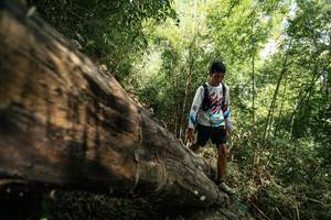 BIB: 
                            <button type="button" onclick="openModal(27960544)" class="btn btn-primary btn-sm float-right btn-popup" data-toggle="modal" data-target=".modal-high-quality">
                        <i class="fas fa-shopping-cart"></i> Add to Cart
                    </button>
                                            <button type="button" onclick="isThisMe(27960544, true)" class="btn btn-success btn-sm float-right btn-popup btn-isme hidden" data-toggle="tooltip" data-placement="bottom" title="นี่คือรูปของคุณใช่ไหม คลิกที่นี่เพื่อเอาเข้าอัลบั้ม">
                        <i class="fas fa-plus"></i> Add to album
                    </button>
                    <button type="button" onclick="isThisMe(27960544, false)" class="btn btn-warning btn-sm float-right btn-popup btn-isnotme hidden">
                        <i class="fas fa-ban"></i> Remove from album
                    </button>