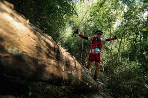 BIB: 
                            <button type="button" onclick="openModal(27959950)" class="btn btn-primary btn-sm float-right btn-popup" data-toggle="modal" data-target=".modal-high-quality">
                        <i class="fas fa-shopping-cart"></i> Add to Cart
                    </button>
                                            <button type="button" onclick="isThisMe(27959950, true)" class="btn btn-success btn-sm float-right btn-popup btn-isme hidden" data-toggle="tooltip" data-placement="bottom" title="นี่คือรูปของคุณใช่ไหม คลิกที่นี่เพื่อเอาเข้าอัลบั้ม">
                        <i class="fas fa-plus"></i> Add to album
                    </button>
                    <button type="button" onclick="isThisMe(27959950, false)" class="btn btn-warning btn-sm float-right btn-popup btn-isnotme hidden">
                        <i class="fas fa-ban"></i> Remove from album
                    </button>