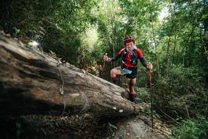 BIB: 
                            <button type="button" onclick="openModal(27964151)" class="btn btn-primary btn-sm float-right btn-popup" data-toggle="modal" data-target=".modal-high-quality">
                        <i class="fas fa-shopping-cart"></i> Add to Cart
                    </button>
                                            <button type="button" onclick="isThisMe(27964151, true)" class="btn btn-success btn-sm float-right btn-popup btn-isme hidden" data-toggle="tooltip" data-placement="bottom" title="นี่คือรูปของคุณใช่ไหม คลิกที่นี่เพื่อเอาเข้าอัลบั้ม">
                        <i class="fas fa-plus"></i> Add to album
                    </button>
                    <button type="button" onclick="isThisMe(27964151, false)" class="btn btn-warning btn-sm float-right btn-popup btn-isnotme hidden">
                        <i class="fas fa-ban"></i> Remove from album
                    </button>