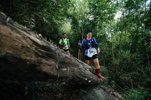 BIB: 
                            <button type="button" onclick="openModal(27963759)" class="btn btn-primary btn-sm float-right btn-popup" data-toggle="modal" data-target=".modal-high-quality">
                        <i class="fas fa-shopping-cart"></i> Add to Cart
                    </button>
                                            <button type="button" onclick="isThisMe(27963759, true)" class="btn btn-success btn-sm float-right btn-popup btn-isme hidden" data-toggle="tooltip" data-placement="bottom" title="นี่คือรูปของคุณใช่ไหม คลิกที่นี่เพื่อเอาเข้าอัลบั้ม">
                        <i class="fas fa-plus"></i> Add to album
                    </button>
                    <button type="button" onclick="isThisMe(27963759, false)" class="btn btn-warning btn-sm float-right btn-popup btn-isnotme hidden">
                        <i class="fas fa-ban"></i> Remove from album
                    </button>