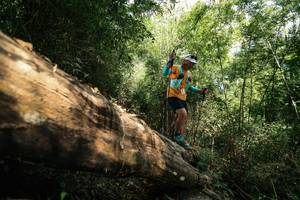 BIB: 
                            <button type="button" onclick="openModal(27959869)" class="btn btn-primary btn-sm float-right btn-popup" data-toggle="modal" data-target=".modal-high-quality">
                        <i class="fas fa-shopping-cart"></i> Add to Cart
                    </button>
                                            <button type="button" onclick="isThisMe(27959869, true)" class="btn btn-success btn-sm float-right btn-popup btn-isme hidden" data-toggle="tooltip" data-placement="bottom" title="นี่คือรูปของคุณใช่ไหม คลิกที่นี่เพื่อเอาเข้าอัลบั้ม">
                        <i class="fas fa-plus"></i> Add to album
                    </button>
                    <button type="button" onclick="isThisMe(27959869, false)" class="btn btn-warning btn-sm float-right btn-popup btn-isnotme hidden">
                        <i class="fas fa-ban"></i> Remove from album
                    </button>