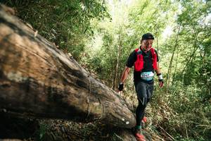 BIB: 
                            <button type="button" onclick="openModal(27964297)" class="btn btn-primary btn-sm float-right btn-popup" data-toggle="modal" data-target=".modal-high-quality">
                        <i class="fas fa-shopping-cart"></i> Add to Cart
                    </button>
                                            <button type="button" onclick="isThisMe(27964297, true)" class="btn btn-success btn-sm float-right btn-popup btn-isme hidden" data-toggle="tooltip" data-placement="bottom" title="นี่คือรูปของคุณใช่ไหม คลิกที่นี่เพื่อเอาเข้าอัลบั้ม">
                        <i class="fas fa-plus"></i> Add to album
                    </button>
                    <button type="button" onclick="isThisMe(27964297, false)" class="btn btn-warning btn-sm float-right btn-popup btn-isnotme hidden">
                        <i class="fas fa-ban"></i> Remove from album
                    </button>