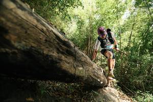 BIB: 
                            <button type="button" onclick="openModal(27965194)" class="btn btn-primary btn-sm float-right btn-popup" data-toggle="modal" data-target=".modal-high-quality">
                        <i class="fas fa-shopping-cart"></i> Add to Cart
                    </button>
                                            <button type="button" onclick="isThisMe(27965194, true)" class="btn btn-success btn-sm float-right btn-popup btn-isme hidden" data-toggle="tooltip" data-placement="bottom" title="นี่คือรูปของคุณใช่ไหม คลิกที่นี่เพื่อเอาเข้าอัลบั้ม">
                        <i class="fas fa-plus"></i> Add to album
                    </button>
                    <button type="button" onclick="isThisMe(27965194, false)" class="btn btn-warning btn-sm float-right btn-popup btn-isnotme hidden">
                        <i class="fas fa-ban"></i> Remove from album
                    </button>