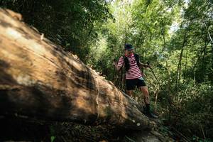 BIB: 
                            <button type="button" onclick="openModal(27959969)" class="btn btn-primary btn-sm float-right btn-popup" data-toggle="modal" data-target=".modal-high-quality">
                        <i class="fas fa-shopping-cart"></i> Add to Cart
                    </button>
                                            <button type="button" onclick="isThisMe(27959969, true)" class="btn btn-success btn-sm float-right btn-popup btn-isme hidden" data-toggle="tooltip" data-placement="bottom" title="นี่คือรูปของคุณใช่ไหม คลิกที่นี่เพื่อเอาเข้าอัลบั้ม">
                        <i class="fas fa-plus"></i> Add to album
                    </button>
                    <button type="button" onclick="isThisMe(27959969, false)" class="btn btn-warning btn-sm float-right btn-popup btn-isnotme hidden">
                        <i class="fas fa-ban"></i> Remove from album
                    </button>