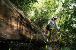 BIB: 
                            <button type="button" onclick="openModal(27960513)" class="btn btn-primary btn-sm float-right btn-popup" data-toggle="modal" data-target=".modal-high-quality">
                        <i class="fas fa-shopping-cart"></i> Add to Cart
                    </button>
                                            <button type="button" onclick="isThisMe(27960513, true)" class="btn btn-success btn-sm float-right btn-popup btn-isme hidden" data-toggle="tooltip" data-placement="bottom" title="นี่คือรูปของคุณใช่ไหม คลิกที่นี่เพื่อเอาเข้าอัลบั้ม">
                        <i class="fas fa-plus"></i> Add to album
                    </button>
                    <button type="button" onclick="isThisMe(27960513, false)" class="btn btn-warning btn-sm float-right btn-popup btn-isnotme hidden">
                        <i class="fas fa-ban"></i> Remove from album
                    </button>