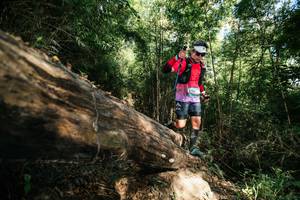 BIB: 
                            <button type="button" onclick="openModal(27962441)" class="btn btn-primary btn-sm float-right btn-popup" data-toggle="modal" data-target=".modal-high-quality">
                        <i class="fas fa-shopping-cart"></i> Add to Cart
                    </button>
                                            <button type="button" onclick="isThisMe(27962441, true)" class="btn btn-success btn-sm float-right btn-popup btn-isme hidden" data-toggle="tooltip" data-placement="bottom" title="นี่คือรูปของคุณใช่ไหม คลิกที่นี่เพื่อเอาเข้าอัลบั้ม">
                        <i class="fas fa-plus"></i> Add to album
                    </button>
                    <button type="button" onclick="isThisMe(27962441, false)" class="btn btn-warning btn-sm float-right btn-popup btn-isnotme hidden">
                        <i class="fas fa-ban"></i> Remove from album
                    </button>