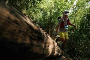 BIB: 
                            <button type="button" onclick="openModal(27965605)" class="btn btn-primary btn-sm float-right btn-popup" data-toggle="modal" data-target=".modal-high-quality">
                        <i class="fas fa-shopping-cart"></i> Add to Cart
                    </button>
                                            <button type="button" onclick="isThisMe(27965605, true)" class="btn btn-success btn-sm float-right btn-popup btn-isme hidden" data-toggle="tooltip" data-placement="bottom" title="นี่คือรูปของคุณใช่ไหม คลิกที่นี่เพื่อเอาเข้าอัลบั้ม">
                        <i class="fas fa-plus"></i> Add to album
                    </button>
                    <button type="button" onclick="isThisMe(27965605, false)" class="btn btn-warning btn-sm float-right btn-popup btn-isnotme hidden">
                        <i class="fas fa-ban"></i> Remove from album
                    </button>