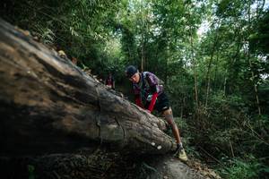 BIB: 
                            <button type="button" onclick="openModal(27963907)" class="btn btn-primary btn-sm float-right btn-popup" data-toggle="modal" data-target=".modal-high-quality">
                        <i class="fas fa-shopping-cart"></i> Add to Cart
                    </button>
                                            <button type="button" onclick="isThisMe(27963907, true)" class="btn btn-success btn-sm float-right btn-popup btn-isme hidden" data-toggle="tooltip" data-placement="bottom" title="นี่คือรูปของคุณใช่ไหม คลิกที่นี่เพื่อเอาเข้าอัลบั้ม">
                        <i class="fas fa-plus"></i> Add to album
                    </button>
                    <button type="button" onclick="isThisMe(27963907, false)" class="btn btn-warning btn-sm float-right btn-popup btn-isnotme hidden">
                        <i class="fas fa-ban"></i> Remove from album
                    </button>