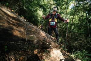 BIB: 
                            <button type="button" onclick="openModal(27962414)" class="btn btn-primary btn-sm float-right btn-popup" data-toggle="modal" data-target=".modal-high-quality">
                        <i class="fas fa-shopping-cart"></i> Add to Cart
                    </button>
                                            <button type="button" onclick="isThisMe(27962414, true)" class="btn btn-success btn-sm float-right btn-popup btn-isme hidden" data-toggle="tooltip" data-placement="bottom" title="นี่คือรูปของคุณใช่ไหม คลิกที่นี่เพื่อเอาเข้าอัลบั้ม">
                        <i class="fas fa-plus"></i> Add to album
                    </button>
                    <button type="button" onclick="isThisMe(27962414, false)" class="btn btn-warning btn-sm float-right btn-popup btn-isnotme hidden">
                        <i class="fas fa-ban"></i> Remove from album
                    </button>