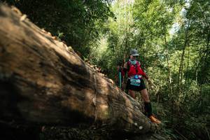 BIB: 
                            <button type="button" onclick="openModal(27959649)" class="btn btn-primary btn-sm float-right btn-popup" data-toggle="modal" data-target=".modal-high-quality">
                        <i class="fas fa-shopping-cart"></i> Add to Cart
                    </button>
                                            <button type="button" onclick="isThisMe(27959649, true)" class="btn btn-success btn-sm float-right btn-popup btn-isme hidden" data-toggle="tooltip" data-placement="bottom" title="นี่คือรูปของคุณใช่ไหม คลิกที่นี่เพื่อเอาเข้าอัลบั้ม">
                        <i class="fas fa-plus"></i> Add to album
                    </button>
                    <button type="button" onclick="isThisMe(27959649, false)" class="btn btn-warning btn-sm float-right btn-popup btn-isnotme hidden">
                        <i class="fas fa-ban"></i> Remove from album
                    </button>