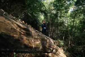 BIB: 
                            <button type="button" onclick="openModal(27962069)" class="btn btn-primary btn-sm float-right btn-popup" data-toggle="modal" data-target=".modal-high-quality">
                        <i class="fas fa-shopping-cart"></i> Add to Cart
                    </button>
                                            <button type="button" onclick="isThisMe(27962069, true)" class="btn btn-success btn-sm float-right btn-popup btn-isme hidden" data-toggle="tooltip" data-placement="bottom" title="นี่คือรูปของคุณใช่ไหม คลิกที่นี่เพื่อเอาเข้าอัลบั้ม">
                        <i class="fas fa-plus"></i> Add to album
                    </button>
                    <button type="button" onclick="isThisMe(27962069, false)" class="btn btn-warning btn-sm float-right btn-popup btn-isnotme hidden">
                        <i class="fas fa-ban"></i> Remove from album
                    </button>