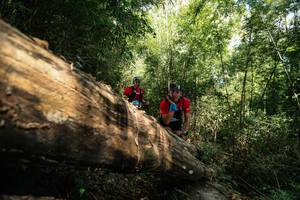 BIB: 
                            <button type="button" onclick="openModal(27960059)" class="btn btn-primary btn-sm float-right btn-popup" data-toggle="modal" data-target=".modal-high-quality">
                        <i class="fas fa-shopping-cart"></i> Add to Cart
                    </button>
                                            <button type="button" onclick="isThisMe(27960059, true)" class="btn btn-success btn-sm float-right btn-popup btn-isme hidden" data-toggle="tooltip" data-placement="bottom" title="นี่คือรูปของคุณใช่ไหม คลิกที่นี่เพื่อเอาเข้าอัลบั้ม">
                        <i class="fas fa-plus"></i> Add to album
                    </button>
                    <button type="button" onclick="isThisMe(27960059, false)" class="btn btn-warning btn-sm float-right btn-popup btn-isnotme hidden">
                        <i class="fas fa-ban"></i> Remove from album
                    </button>