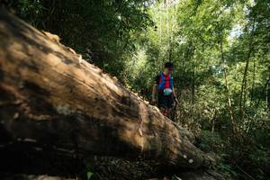 BIB: 
                            <button type="button" onclick="openModal(27959827)" class="btn btn-primary btn-sm float-right btn-popup" data-toggle="modal" data-target=".modal-high-quality">
                        <i class="fas fa-shopping-cart"></i> Add to Cart
                    </button>
                                            <button type="button" onclick="isThisMe(27959827, true)" class="btn btn-success btn-sm float-right btn-popup btn-isme hidden" data-toggle="tooltip" data-placement="bottom" title="นี่คือรูปของคุณใช่ไหม คลิกที่นี่เพื่อเอาเข้าอัลบั้ม">
                        <i class="fas fa-plus"></i> Add to album
                    </button>
                    <button type="button" onclick="isThisMe(27959827, false)" class="btn btn-warning btn-sm float-right btn-popup btn-isnotme hidden">
                        <i class="fas fa-ban"></i> Remove from album
                    </button>